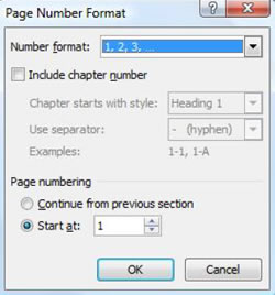 Page Number Format